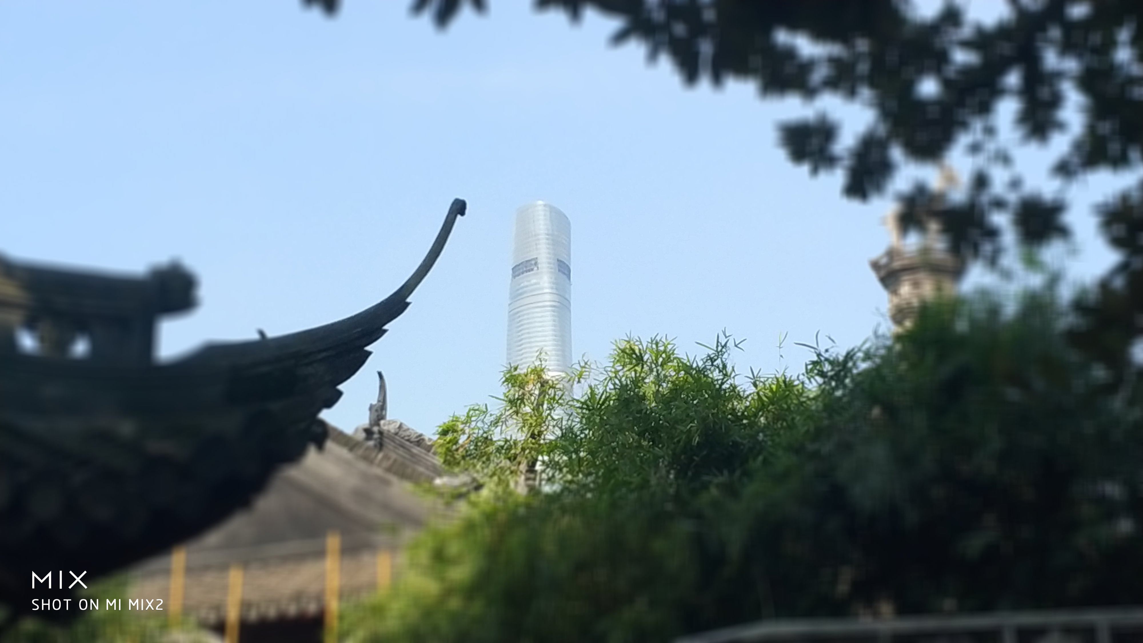 抬头就是上海中心，也可以算是风景了