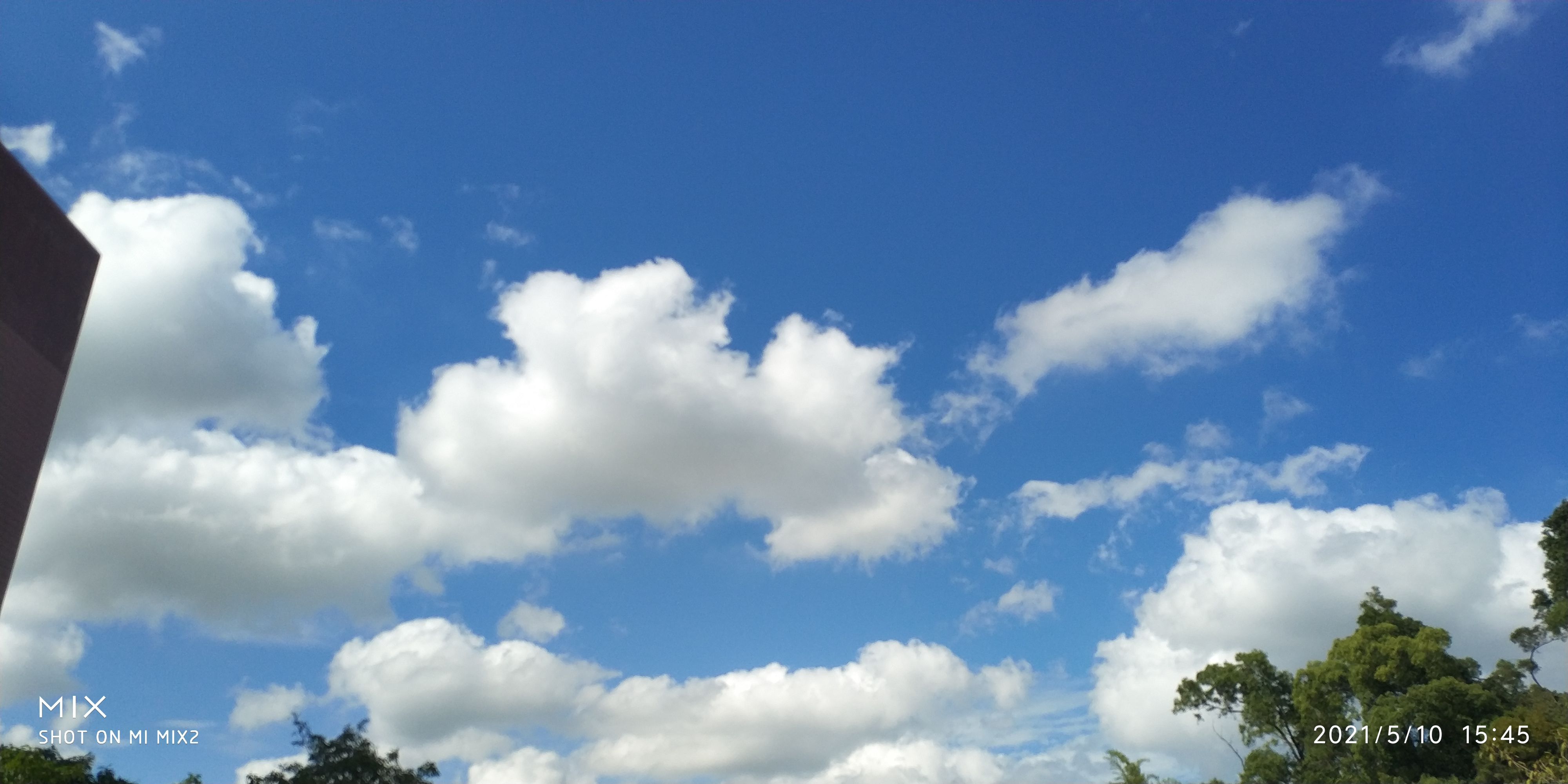 今天的天空蓝的好好看，云也真的好像棉花糖